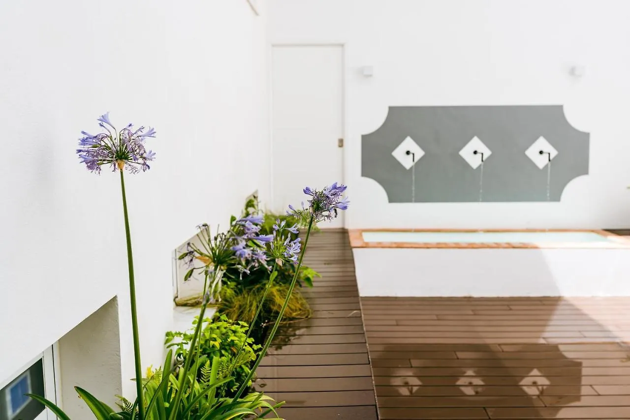 Treetriana Apartment Seville Spain